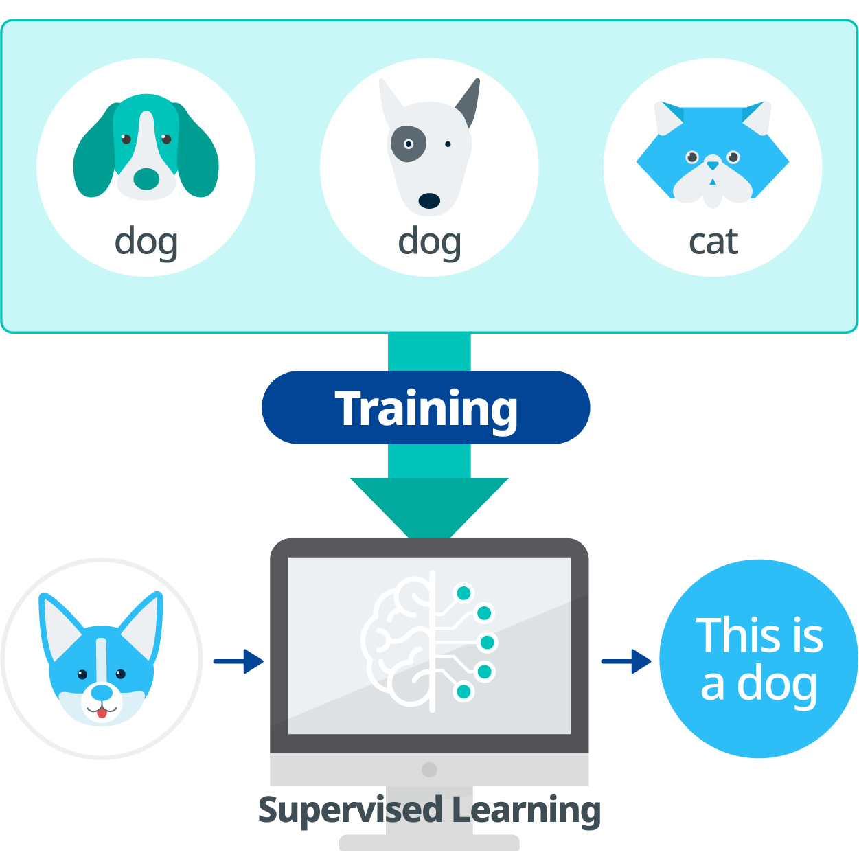 TTA정보통신용어사전